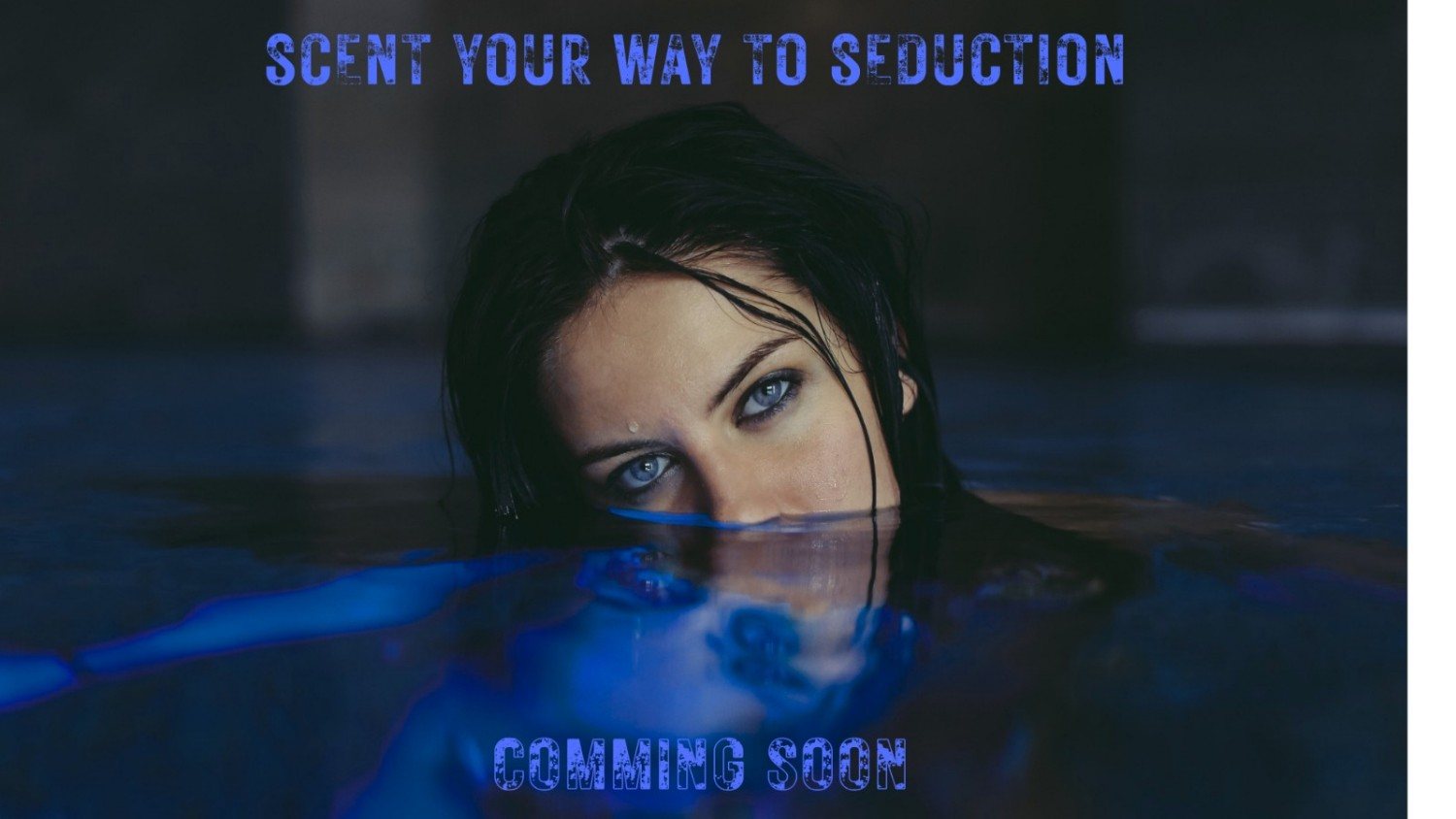 collection-banner-image