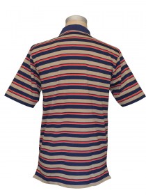 Yarn Dyed Stripped Polo Shirt